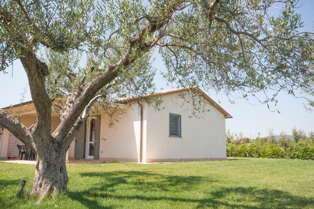 Agriturismo Il Mirto Pescia Romana Kültér fotó